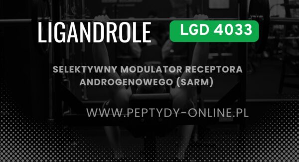 LGD 4033